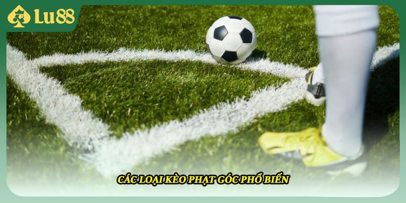 Các loại kèo phạt góc phổ biến